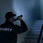Security Patrol | An Overview